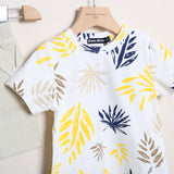 Completo Con Bermuda