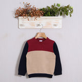 Pullover mit Rundhalsausschnitt