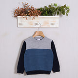 Pullover mit Rundhalsausschnitt