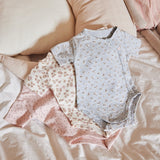 Cover „Sartoria Dei Piccoli“.