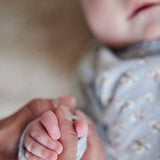 Cover „Sartoria Dei Piccoli“.